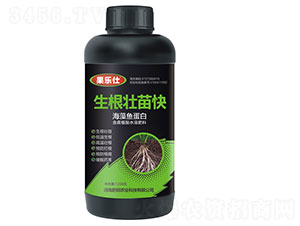 ���������-����(l��)��-�����r(n��ng)�I(y��)