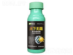 ���o������Ԫֲ��ø��-�ژ���-�֠���