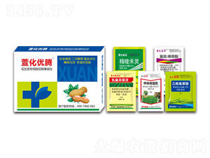 ������������ݽM��-�滯��(y��u)�v-�滯���h(yu��n)