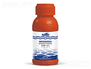 ø�⺣�徫ԭҺ-���{��