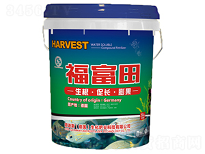 ������-�A��(chu��ng)(li��n)��