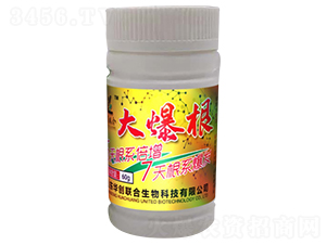 �󱬸�-�A��(chu��ng)(li��n)��