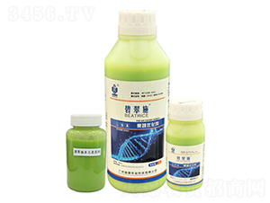 ���߃�(y��u)����-�̴�ʩ-����r(n��ng)�I(y��)