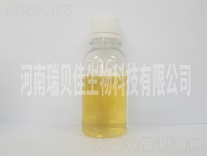 Һ�w��-��ؐ������