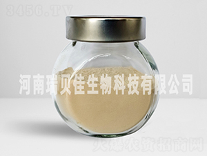 �����������i-��ؐ������