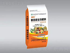 ��(f��)��΢�������-ɏ�l(f��)��