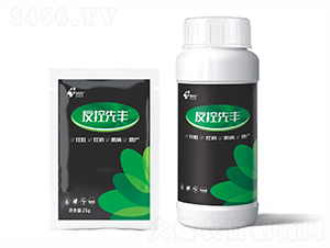 �����������������a(ch��n)-�������S-������