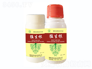 ������-�˰�����