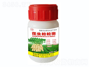 ���������-��(bi��o)������ 