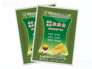 �F�U����������-�˰�����