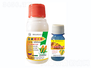 ���װ����-�˰�����