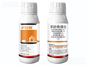 22%���ѡ��������xС���N��-�o(h��)��˹-�Ƶ��r(n��ng)�I(y��)