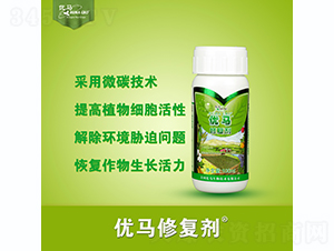 ��(y��u)�R�ޏ�(f��)��-��(y��u)�R����