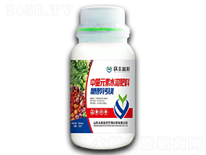 �Ǵ��}�V-���S���r(n��ng)