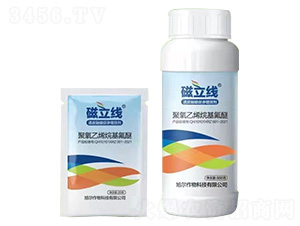 ͸Ƥ��Ϟ�ٝB��Ч��-������-������