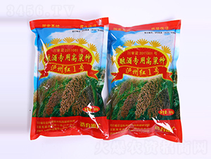 �o�ݼt1̖(h��o)-�����N��-������