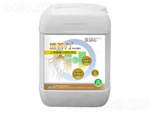 �����ޏ�(f��)��������-���B(y��ng)��-���h(hu��n)���B(t��i)