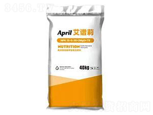 �����ԏͺϷ���-���V��-������M����