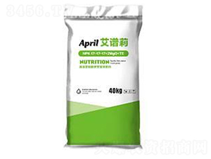 �����ԏ�(f��)�Ϸ�-���V��-������M(j��n)����