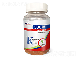 �ЙC���w⛷�-��ϲ