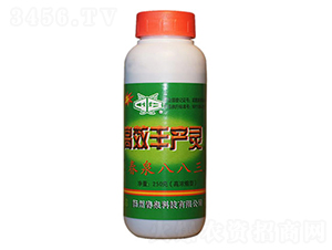 �S�a(ch��n)�`-��Ȫ