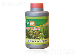 ����������-��Ȫ