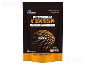 1000g�VԴ�S�����-�W��ɳ