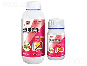 ʢ�S���-��ʢ�S-�����r(n��ng)�I(y��)