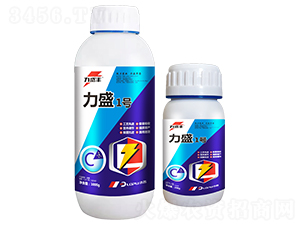 ��ʢ1̖-��ʢ�S-�����r(n��ng)�I(y��)