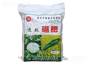 ���-�R���r(n��ng)��