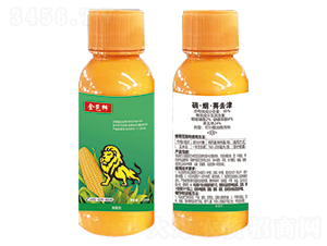 30%��������ݬȥ��-ȫ���{-嫪{