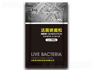 ���̼ħ��-������