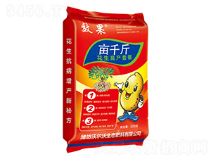 �����߮a(ch��n)�ײ�-��ǧ��-������