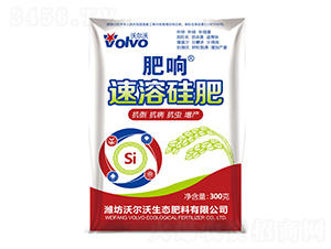 ���ܹ��-���-������