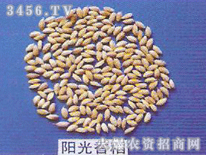 �(y��ng)���㵾