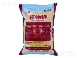 ֲ���-����S-��˹��