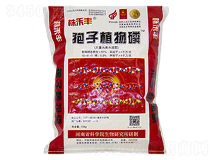 ����ֲ����-����S-��˹��