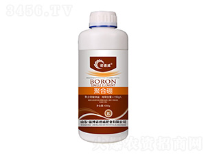 �ۺ���-�Z����