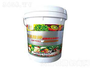 �S�����-�Z����