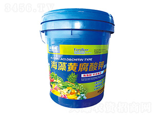 �����S�����-�Z����