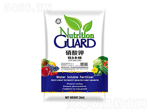 5kg硝酸鉀13.5-0-46-梁山泰豐