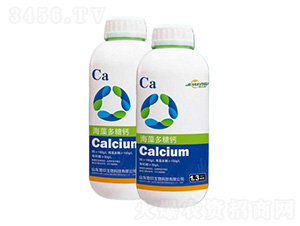 ��������}-�ؾ�����