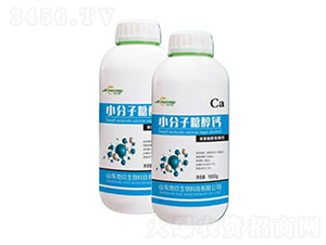 С�����Ǵ��}�~���-�ؾ�����