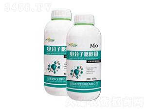 С�����Ǵ��f�~���-�ؾ�����