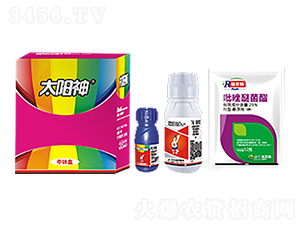 ����̫���-��������