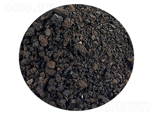 腐植酸肥料-金海德億