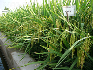 ���202-ˮ���N��-���C�N�I(y��)