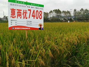 �݃Ƀ�(y��u)7408-ˮ���N��-���A���r