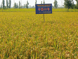 ����43̖(h��o)-ˮ���N��-���S�N�I(y��)