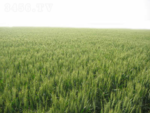 ����99-С���N��-�y�d�N�I(y��)